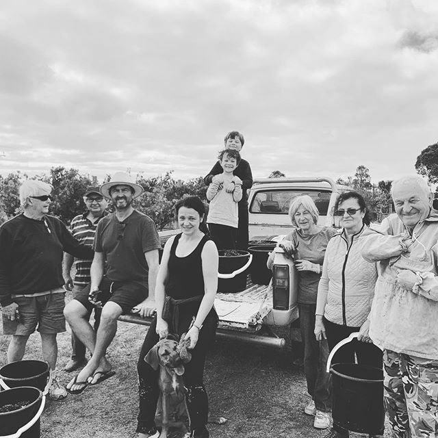 Nearly time to get the band back together for some hand picking. ift.tt/2UGlfek