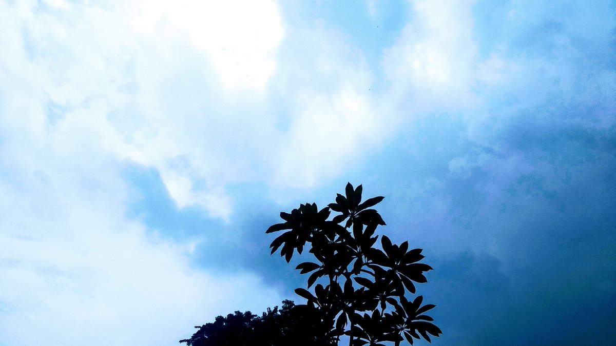 dorao_ir's tweet photo. Cileungsiの青い空
#myfirststep #firststep #bluesky #photography #cloudyday #scenery
#cileungsi #indonesia #langitindonesia https://t.co/t52WFDIhp2