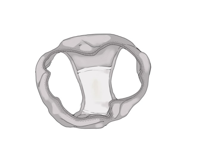 おや…?こんなところにぱんつが… 