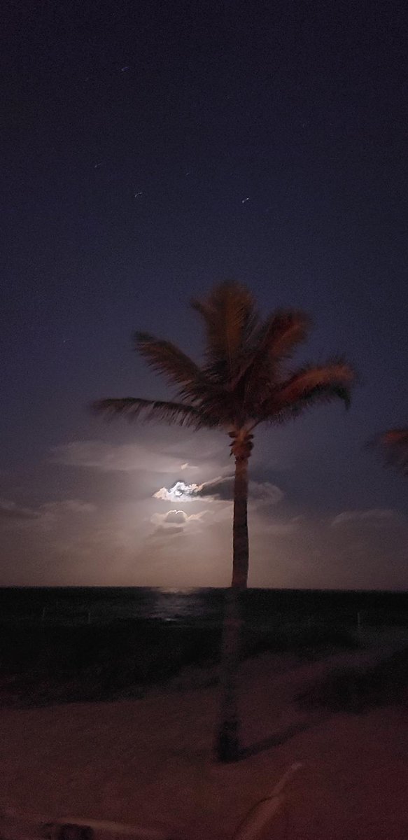 TimBetz's tweet photo. My friend is a finalist in Plunge Beach Hotel's photo contest. Help Jenn rally votes! https://t.co/wAxShl7YAk @PlungeHotel https://t.co/NpNNLhjTKA