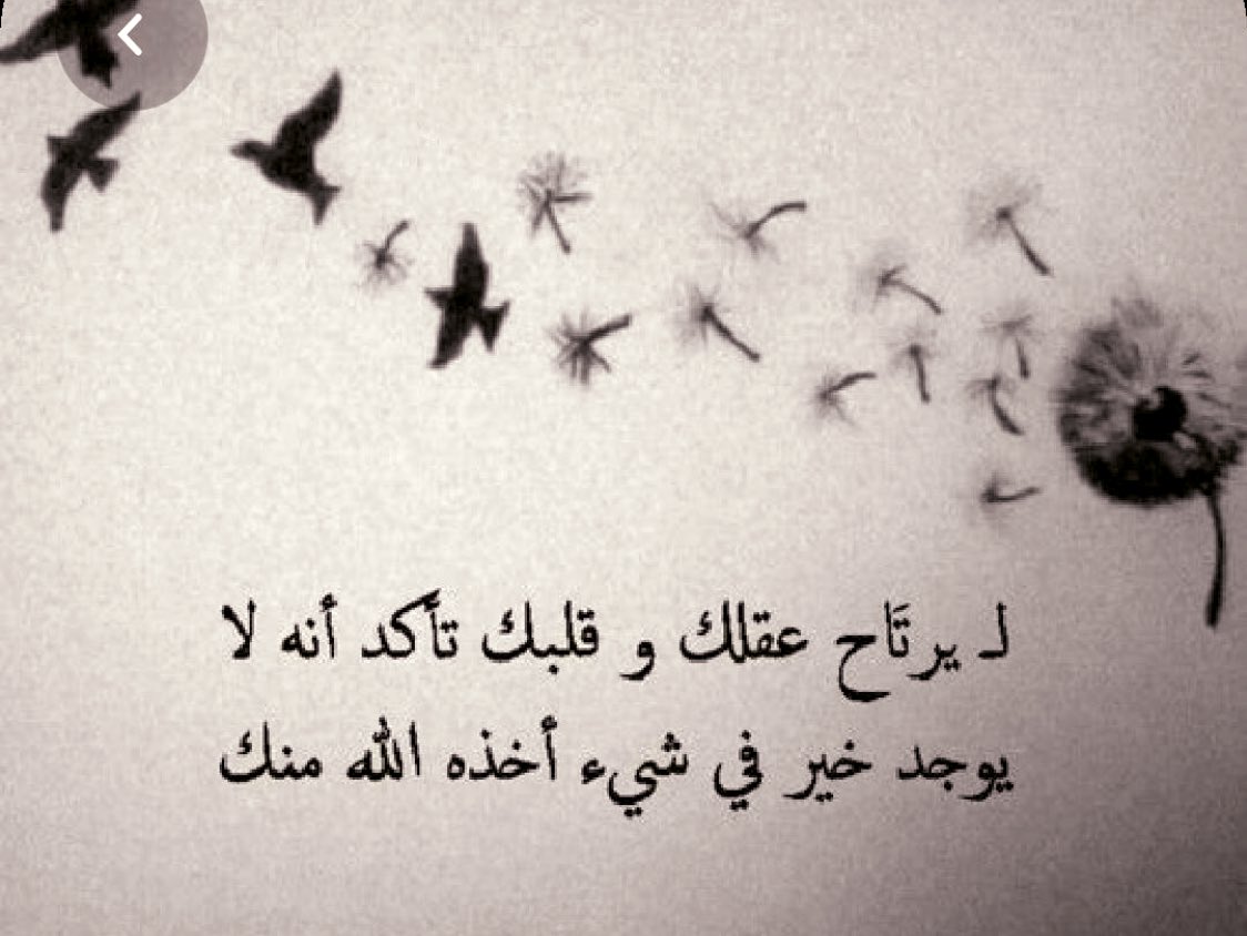 eppbv_dnqg's tweet photo. عقلك وقلبك https://t.co/8l7UL1vFLC
