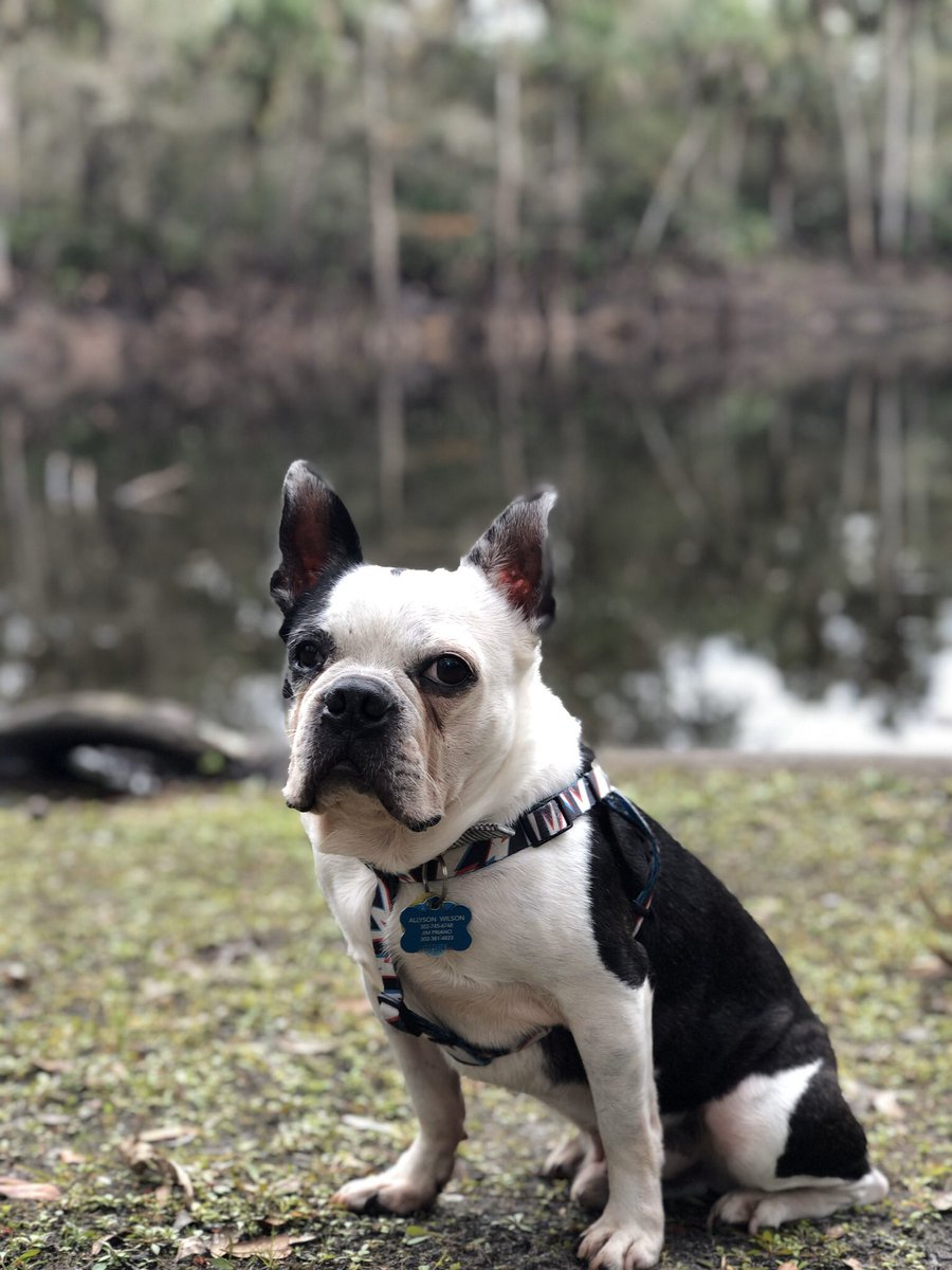 Allyson Priano tweet media