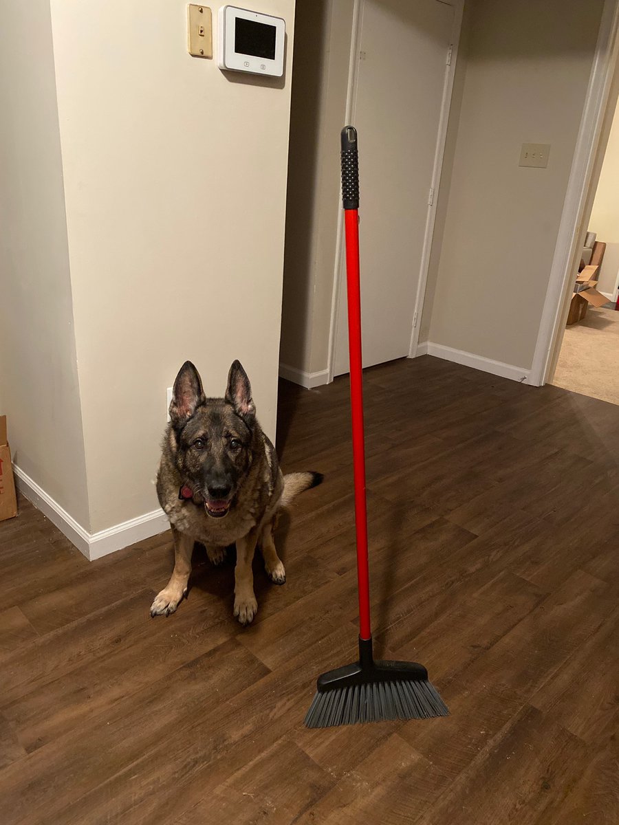 K9Fyba's tweet photo. Apparently this is going around the webz. Hooman says broom stands by itself. I say a 👻 is holding it up. https://t.co/YL9vezberZ