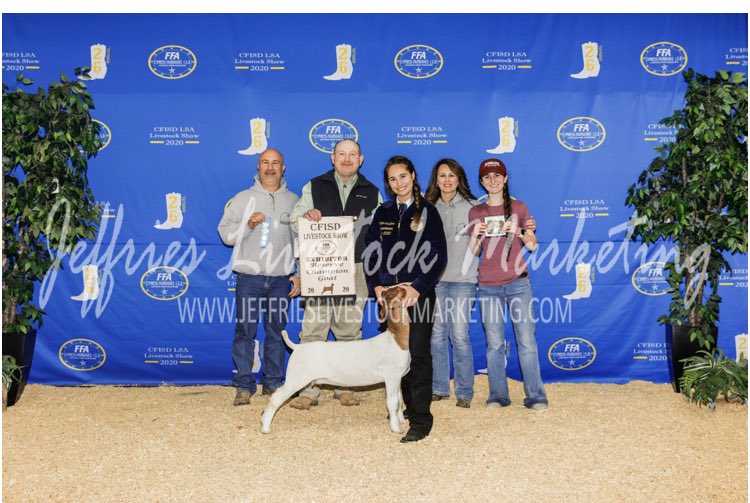 CaprineTeam's tweet photo. Another successful year at the CFISD Livestock Show for the Caprine Team

Congratulations to Remington Castellese on Reserve Grand Champion and on being a showmanship finalist. 
#caprineteam #LetTheBannerChaseYou #champion https://t.co/xztJc1pJnF