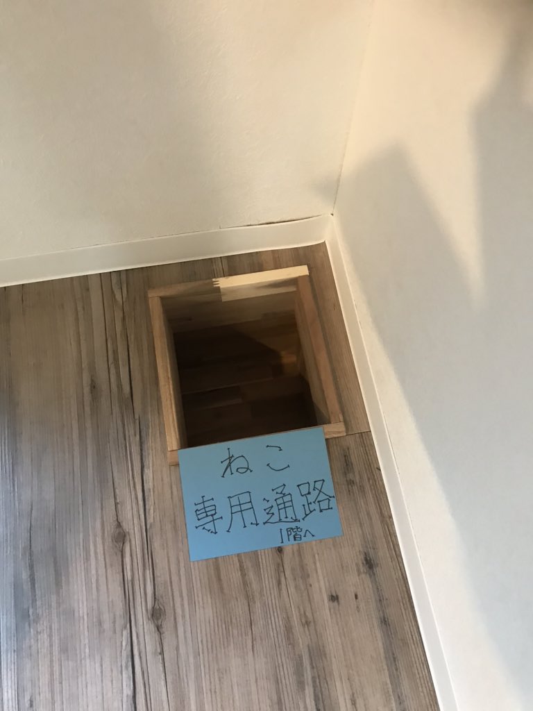 猫共生住宅 hashtag on Twitter