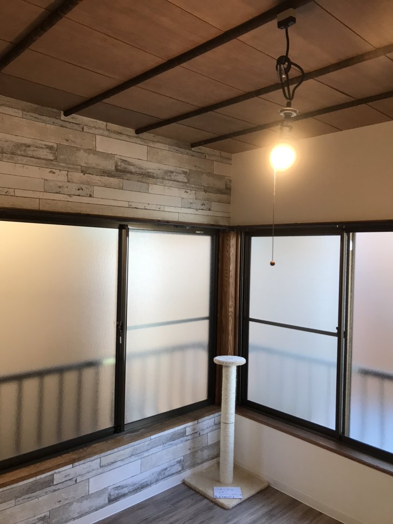 猫共生住宅 hashtag on Twitter