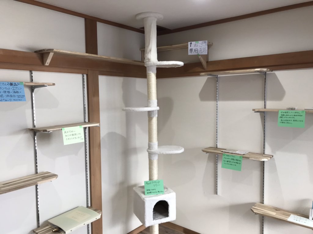 猫共生住宅 hashtag on Twitter