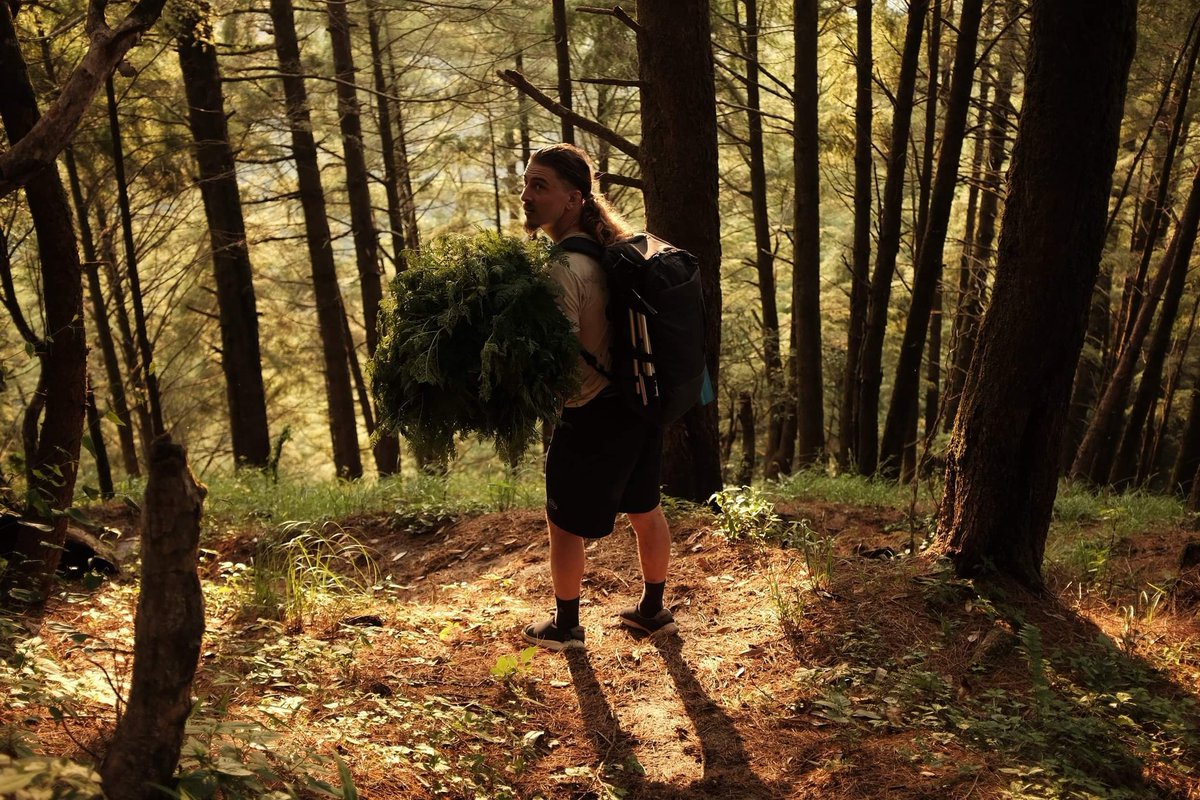 WorldBornWithin's tweet photo. Blended with the trees,
As we heal each other,
Breath by breath,
Step by step,
Through pure, unconditional love
Love you to infinity and beyond ∞
Thank you 🙏
Bless
#YogiCass https://t.co/ur7iOhRif9