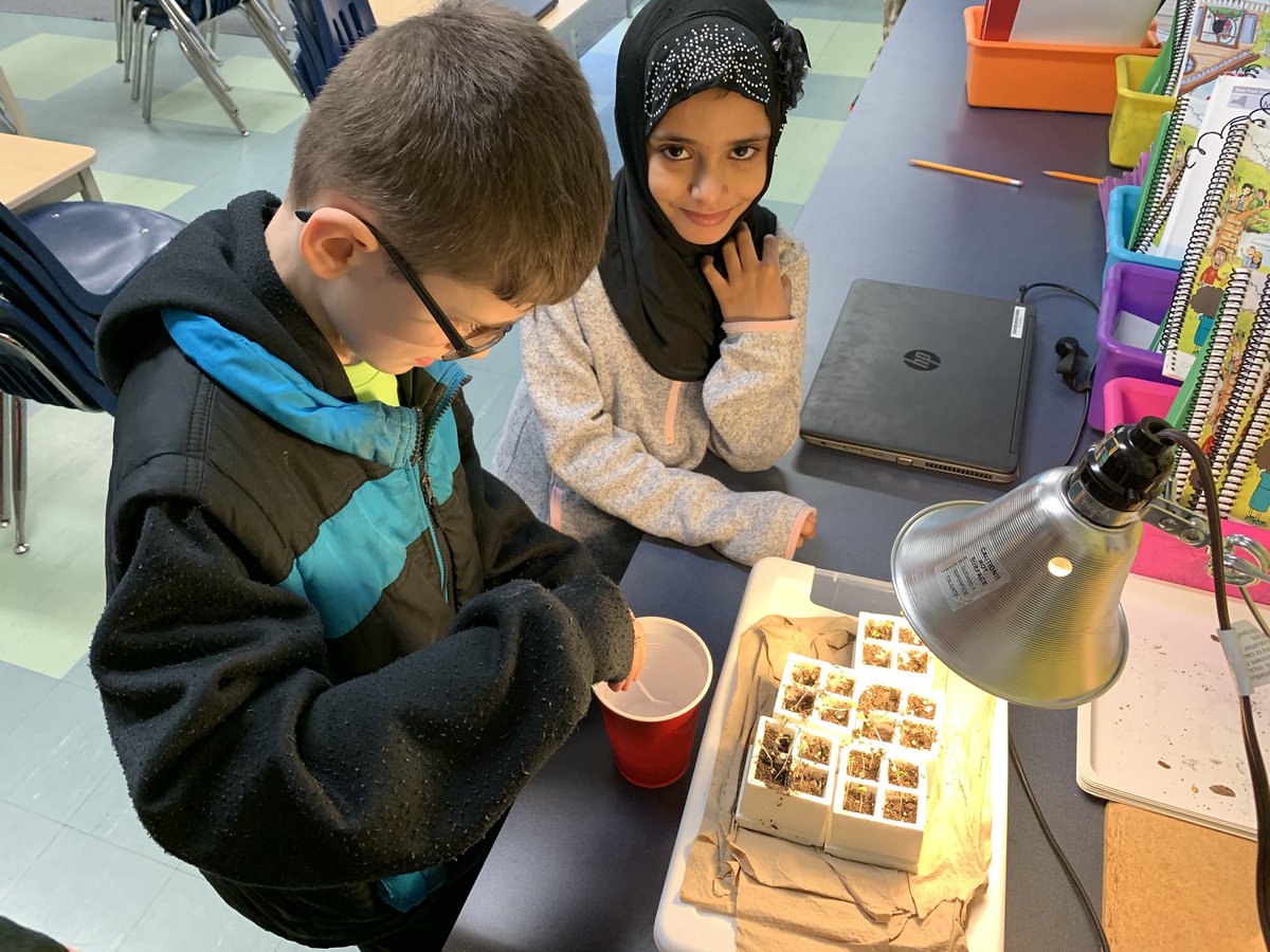 PicconeDanielle's tweet image. These second graders are loving Science!  Our class is really enjoying making observations as we watch our plants grow! @WestRidgeGreece @GreeceCentral
