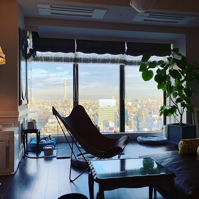 Number Number2 توییتر