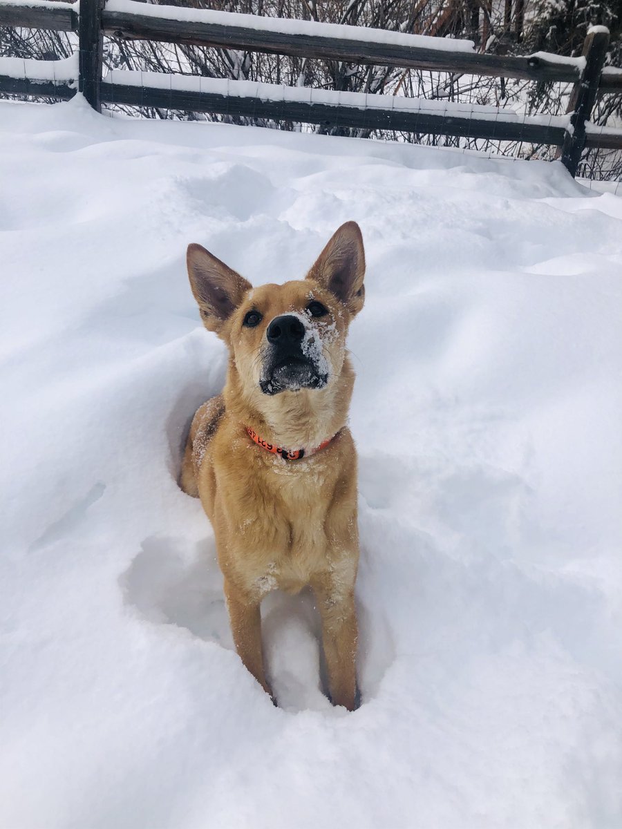 outfar2's tweet image. 