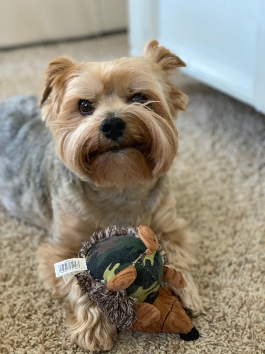 BenBButler's tweet image. #BestAtHomeContest Marlow