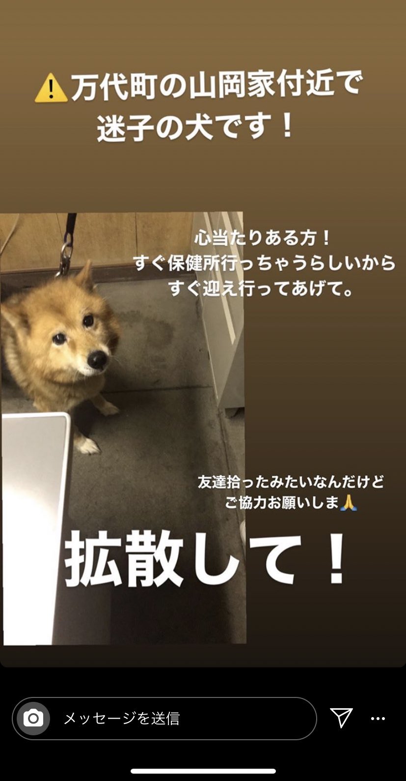 函館災害情報 函館 迷子犬情報 年2月11日 火 函館市万代町で迷子犬が保護され 飼い主さんを探しているとの情報 画像含む が寄せられました お心当たりの方は 飼い主さんへのお知らせをお願い致します T Co 9qb5f5pfkw Twitter