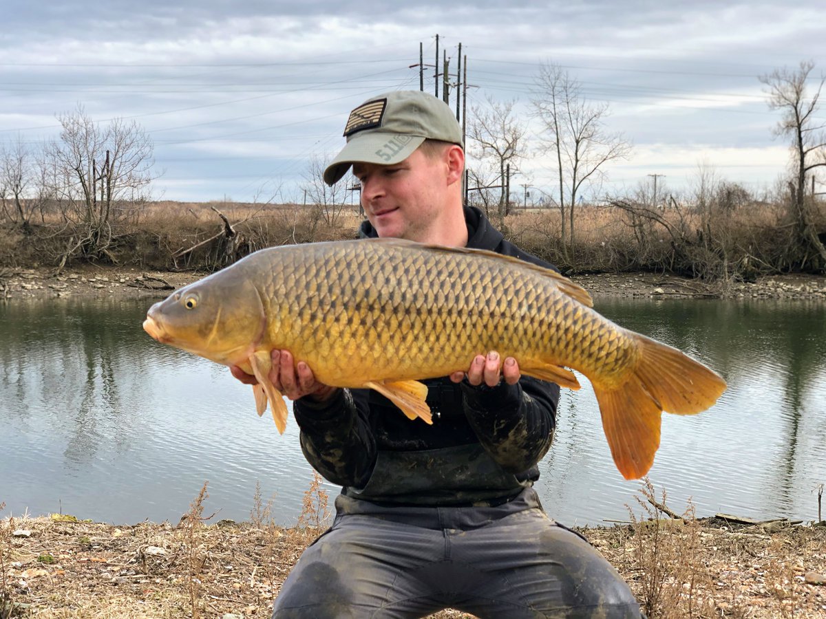 top_tactic's tweet photo. Some nice winter carp action in Delaware. @Urbancarpcoll https://t.co/4XNGN2g7bo