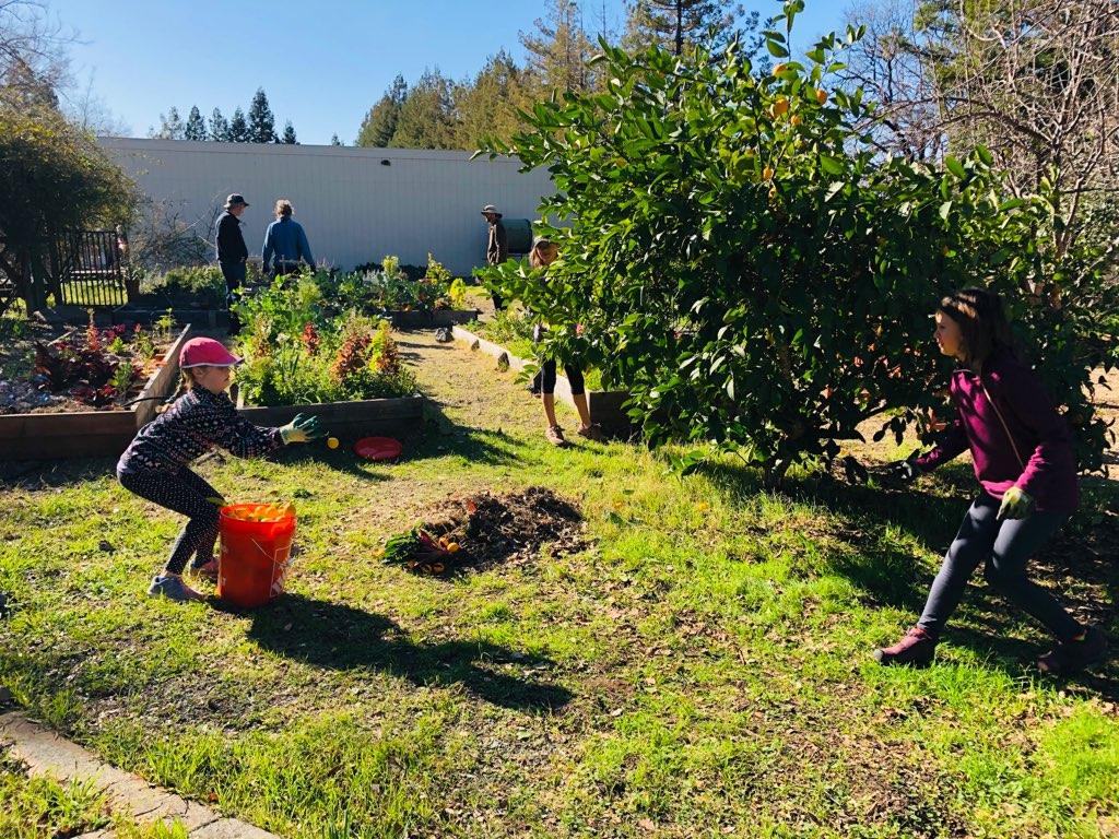 SkyridgeSchool's tweet photo. Thanks to everyone who came out in the wind for the Life Lab cleanup day!  Next up students will have the opportunity to grow carrots, radishes and more snap peas 🥕 @SkyridgeSchool @AuburnUnion https://t.co/3KCuuZDLAq
