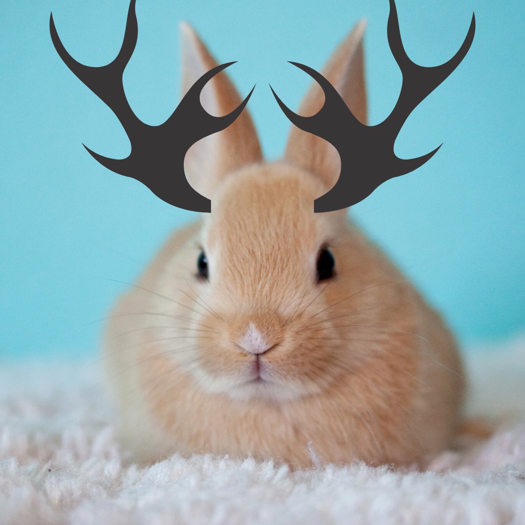 PhamTranscript's tweet image. What animals are in your zoo, dear zookeeper? How about we get a jackalope? Architecture vs. Gardening
Did Alex get that rubber duck??
@ShopTalkShow w/ @chriscoyier & @davatron5000
shoptalkshow.com/episodes/397/
#shoptalkshow #development #design #frontend