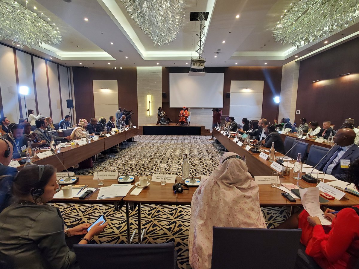 AissataMhm's tweet photo. J'ai partagé mon implication dans la Lutte contre les Hépatites lors de RoundTable on Combating Hepatitis in Africa. @CorpCnclAfrica @OAFLA @GileadSciences @AbbottNews https://t.co/li9SzhdrFy