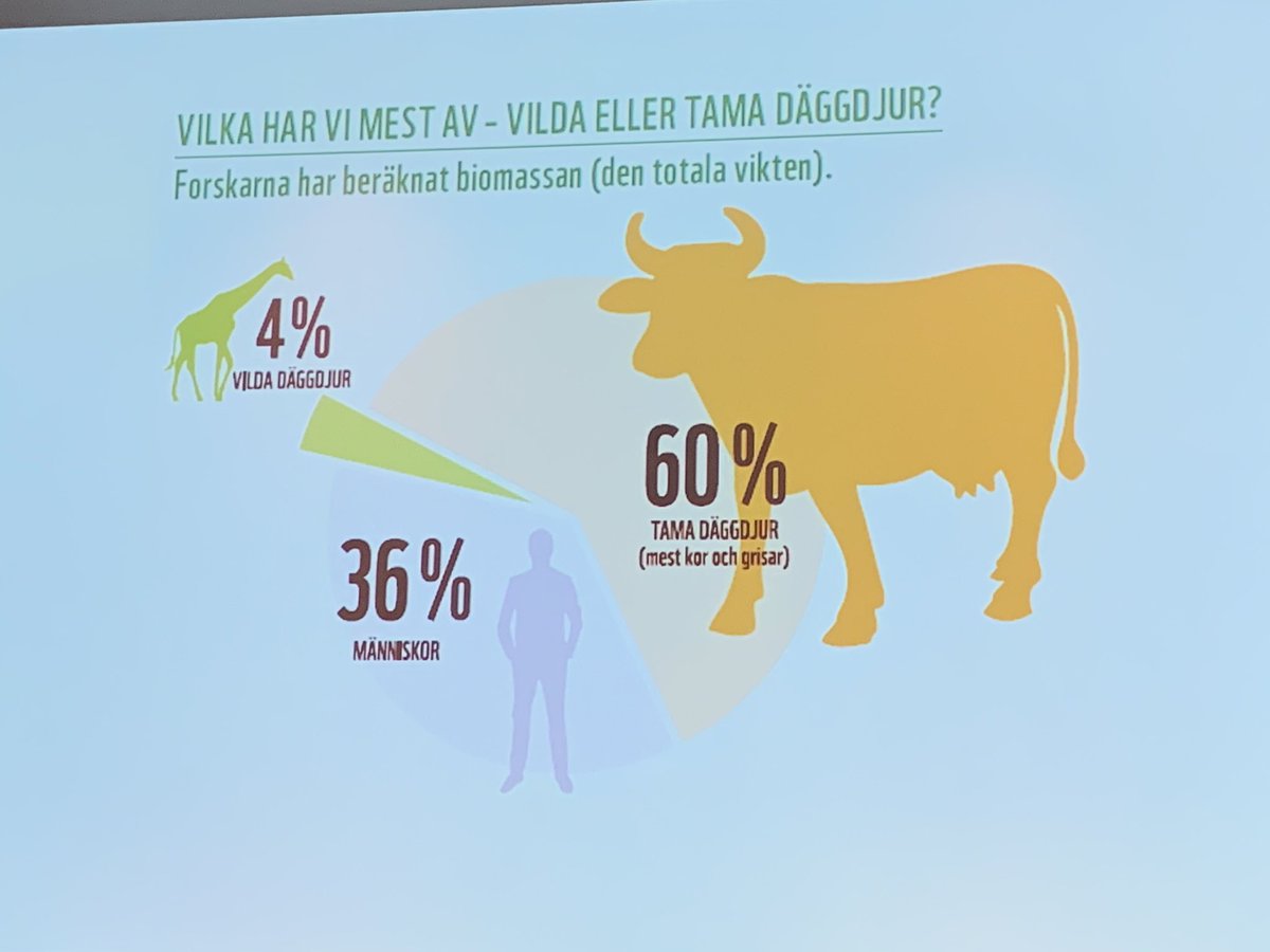 ”Den totala marginaliseringen av det vilda på jorden. Grisar, kor och människor dominerar på jorden”

Torbjörn Ebenhardt tecknar bakgrunden till varför #biologiskmångfald är en absolut hållbarhetsfråga för oss alla

#FolkochNatur