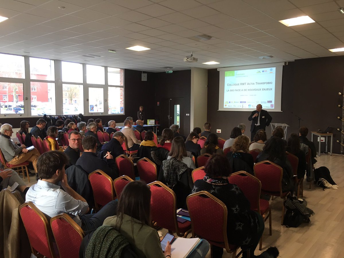 Adrianor tweet media