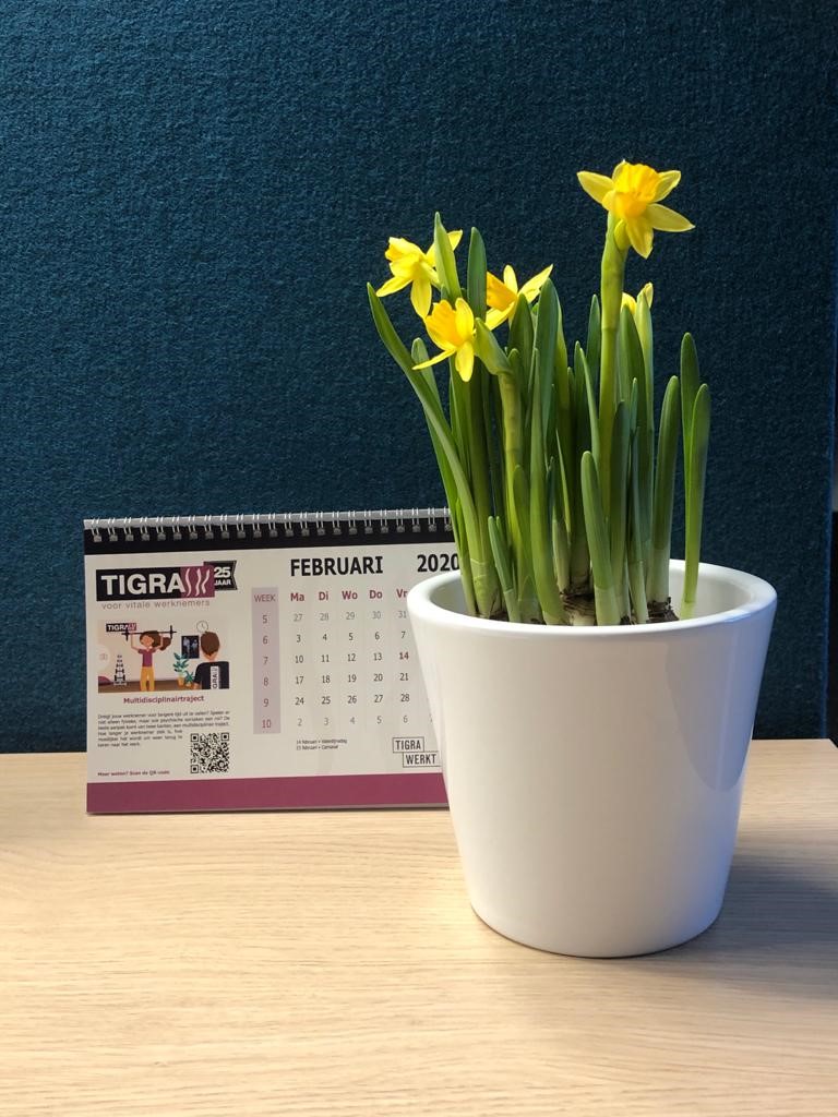 Alles wat aandacht krijgt groeit! Niet alleen planten, maar ook werknemers en collega’s groeien van een beetje aandacht. Zo ontvingen wij deze prachtige narcissen van TIGRA Twente. In welke vorm geef jij je werknemers tijdens Valentijnsdag extra aandacht? #Nog3dagentotValentijn