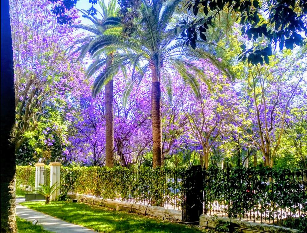AMJAandalucia's tweet image. ENTIDADES QUE HACEN FLORECER ANDALUCÍA.
amja.es/entidades-que-…
#Amja #Jardineria #AndaluciaEnFlor