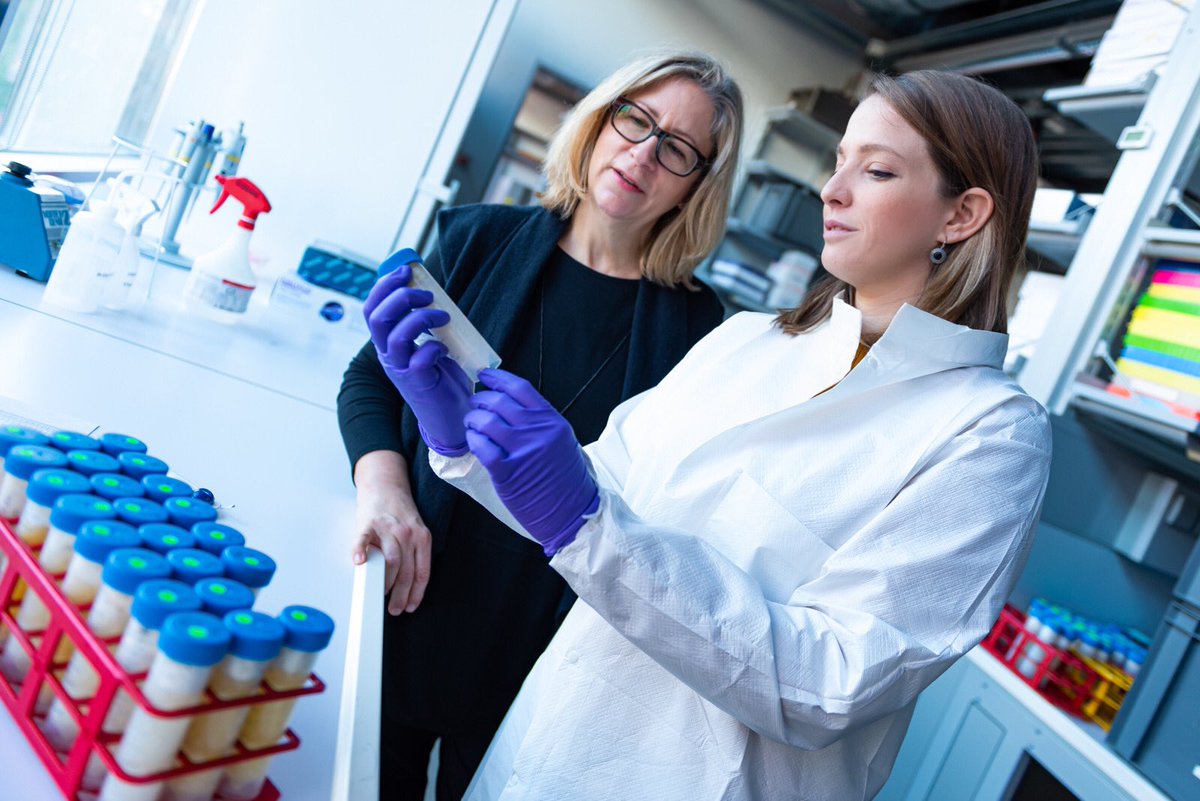 loz_white_'s tweet photo. #WomenInSTEM inspecting poop in a tube. 
💩
@LindaVigilant @WomenScienceDay #labWERK https://t.co/hV45XR6Cc1