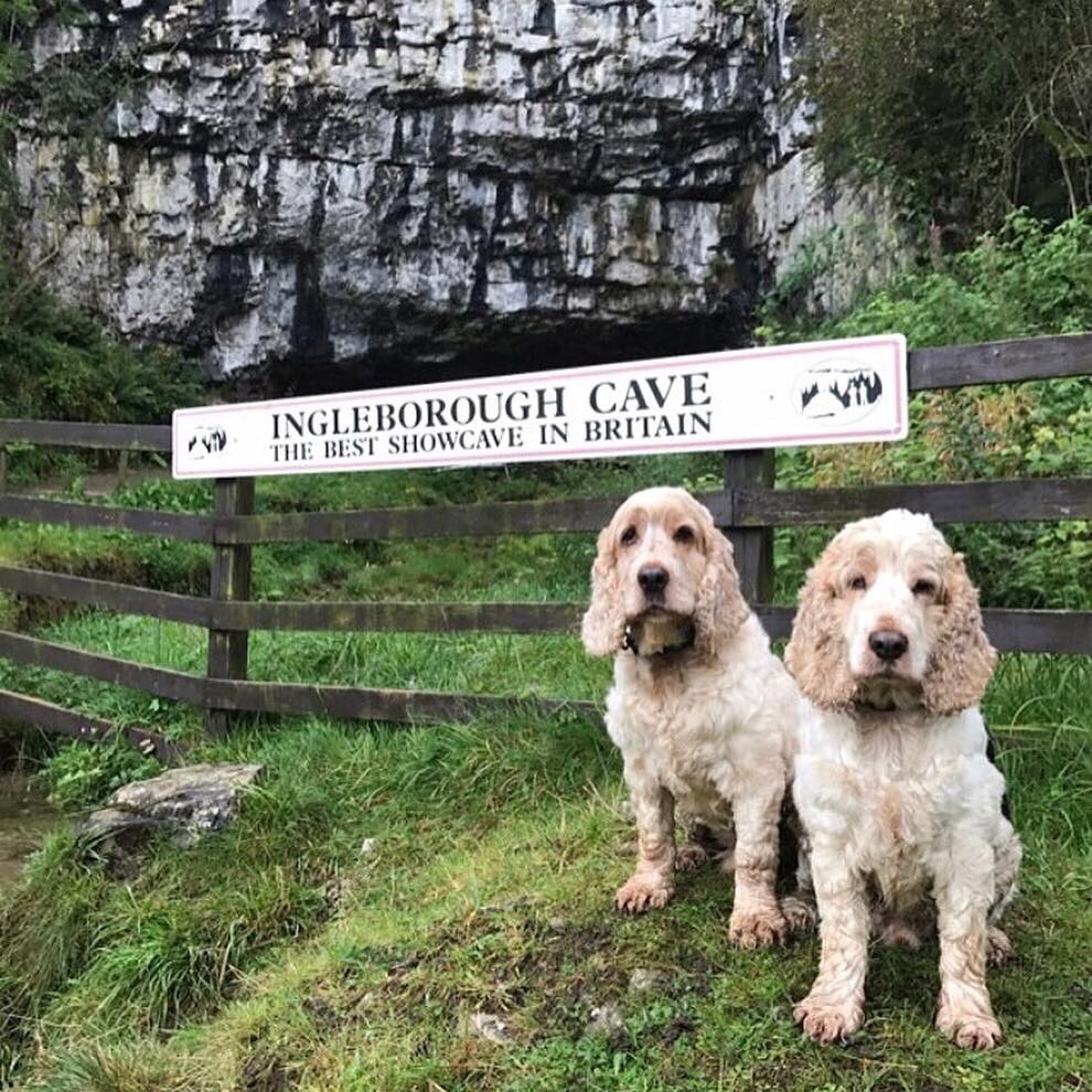 Ingleborough Cave tweet media