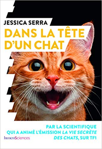 Rfi Autourquestion Que Se Passe T Il Dans La Tete D Un Chat Rdv Cet Ap Sur Rfi Rfimag Charlie Dupiot Avec L Ethologue Serrajessica2 Pour Decrypter Ce Qui Se Passe Dans Le Cerveau Rfi Autourquestion Que Se Passe T Il Dans La Tete D Un Chat Rdv Cet Ap Sur Rfi Rfimag Charlie Dupiot Avec L Ethologue Serrajessica2 Pour Decrypter Ce Qui Se Passe Dans Le Cerveau