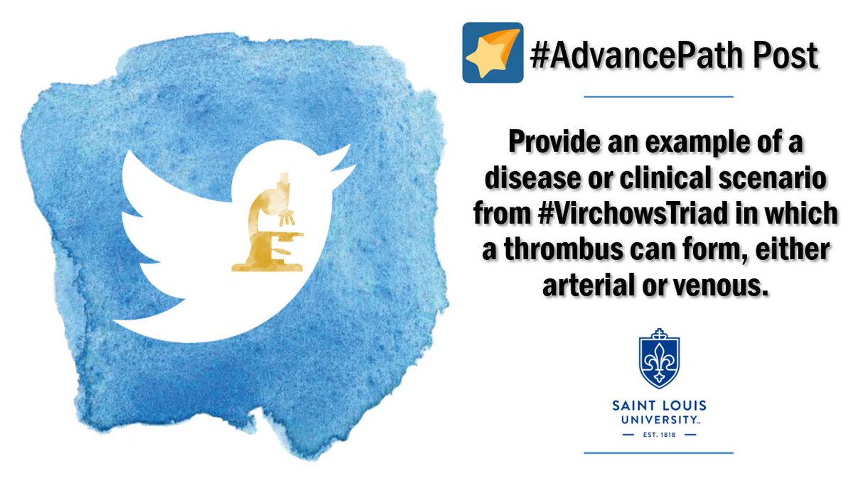 HermelinMD's tweet photo. #SLUSOMPath2020 #AdvancePath Post: Provide an example of a disease or clinical scenario from #VirchowsTriad in which a thrombus can form, either arterial or venous. Please share below. https://t.co/1HBqBmQKe0