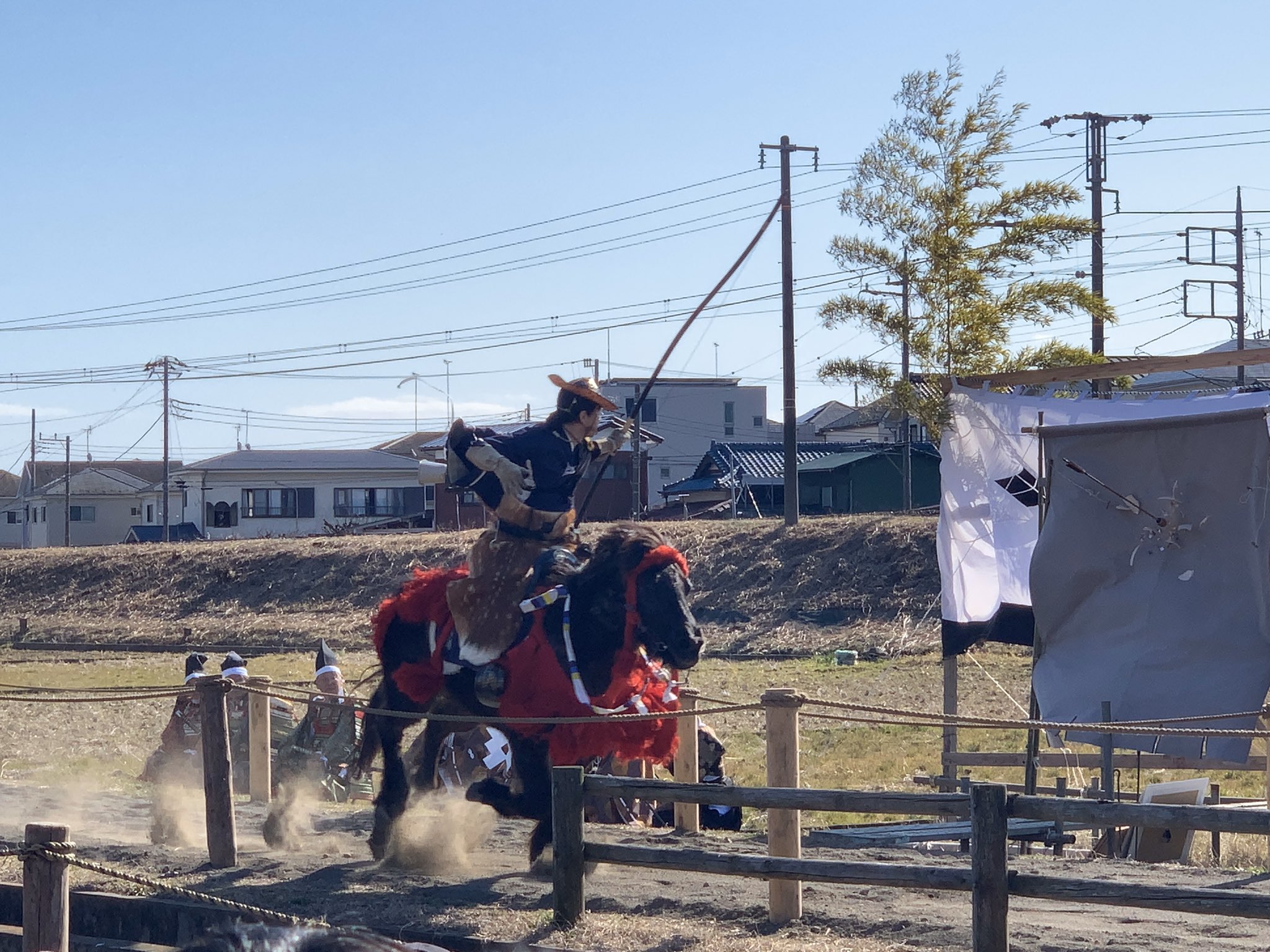 小田原梅祭り Twitter Search Twitter