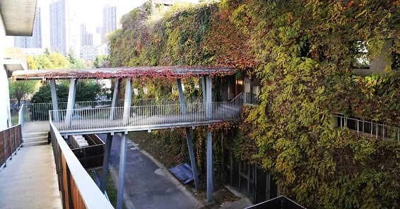 CAAofficialEN's tweet photo. #CAAโs #Xiangshan #campus is the work of architect Wang Shu, the winner of #Pritzker Architecture Prize. There are many #traditional Chinese architecture elements in Xiangshan campus such as courtyard, pedestrian bridge, salvaged tiles and bricks from the site. #BeautifulCAA https://t.co/miJvmtrXMG