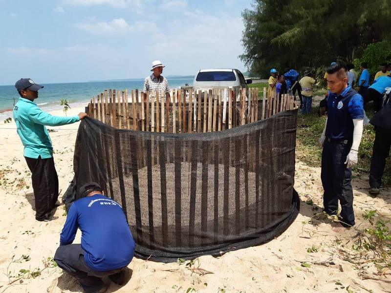 SEAFARERDIVERS's tweet photo. THAILAND (Phang-Nga - Environment) - TWO NEW TURTLE NESTS FOUND IN PHANG-NGA
Local resident Surang Kipairoth reported finding turtle tracks on Ban Bodarn in Thai Muang at 6:38am on Sunday (Feb 9)
https://t.co/03CDNH4hfe https://t.co/U423oEsQSX