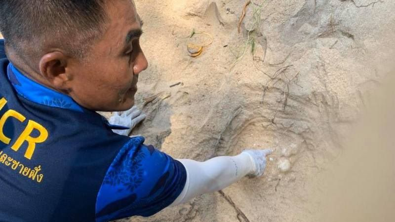 SEAFARERDIVERS's tweet photo. THAILAND (Phang-Nga - Environment) - TWO NEW TURTLE NESTS FOUND IN PHANG-NGA
Local resident Surang Kipairoth reported finding turtle tracks on Ban Bodarn in Thai Muang at 6:38am on Sunday (Feb 9)
https://t.co/03CDNH4hfe https://t.co/U423oEsQSX