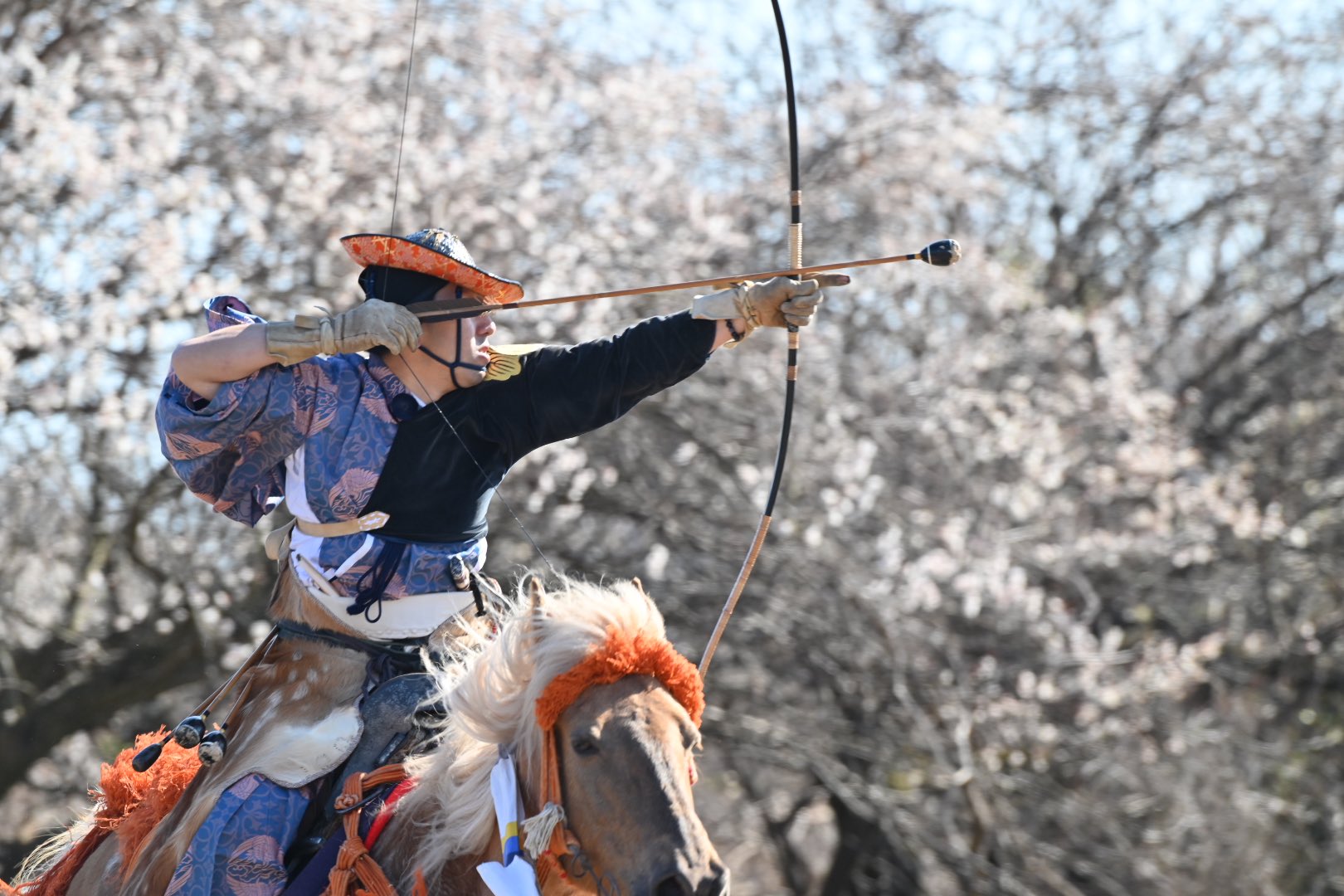 Mako123 No Twitter 女性射手がいらっしゃるのが武田流 凛とした雰囲気でとてもかっこいいのです 武田流流鏑馬 曽我梅林 T Co Ya0i2ksoeb Twitter