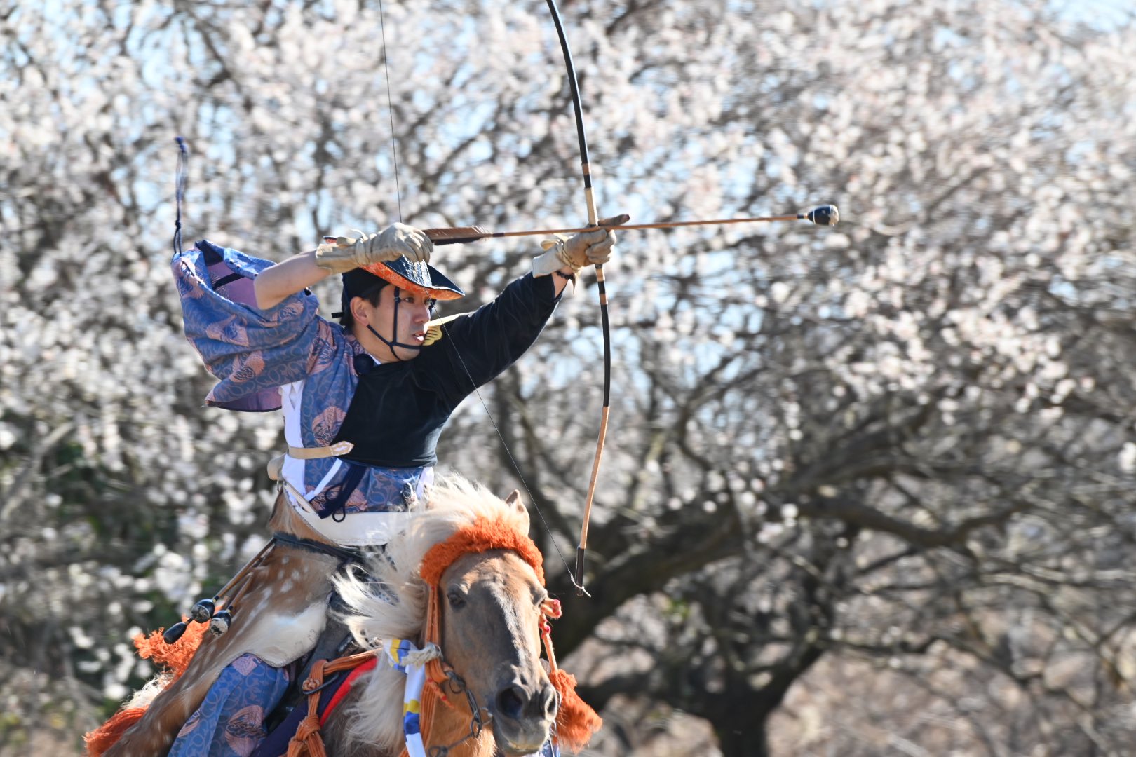 Mako123 女性射手がいらっしゃるのが武田流 凛とした雰囲気でとてもかっこいいのです 武田流流鏑馬 曽我梅林 T Co Ya0i2ksoeb Twitter