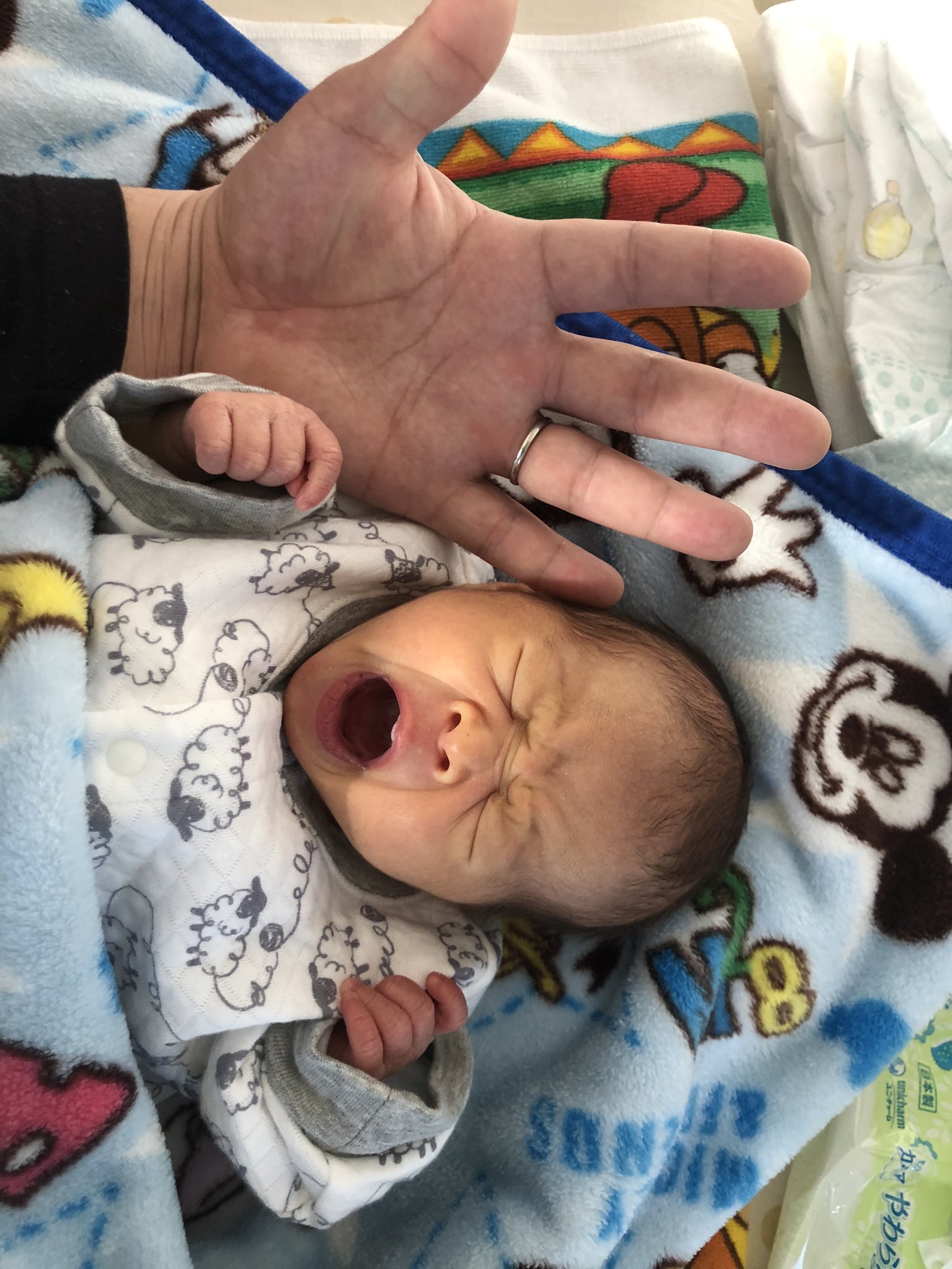 荒井 康生 赤ちゃんのあくびって可愛いよなー それにしても新生児ちっちゃい T Co Lmcrurn9i6 Twitter