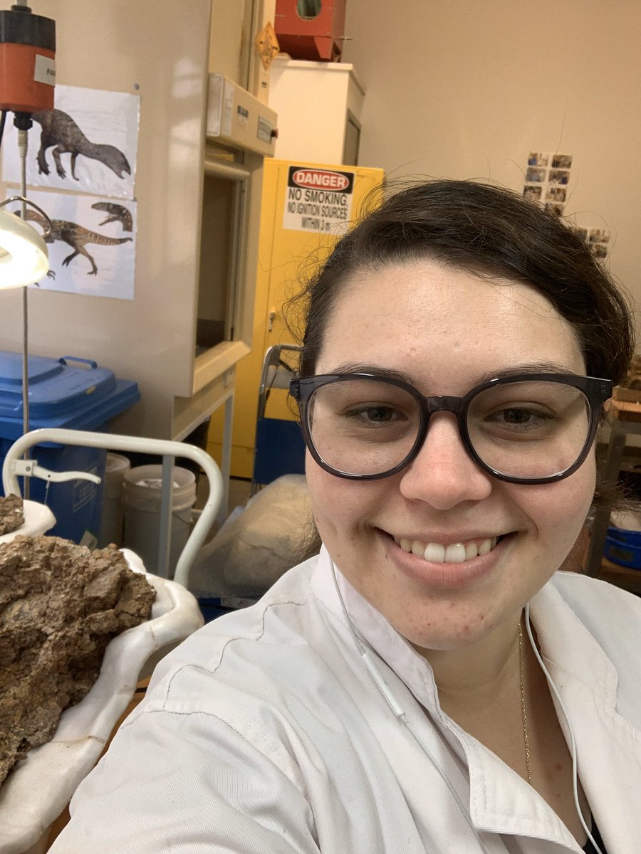 c_chiotakis's tweet photo. Today is #WomenInScienceDay so here I am in the prep lab getting ready to start a day. And a picture of my current project, part of a #crocodile skull from our #tropicalmegafauna dig site #ProjectDIG https://t.co/U2VJWXrasZ
