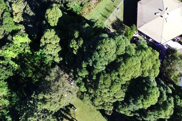 🐝 Happy New Year, AGM, SHB, Native Bee Hotel, Help Needed, AFB Honey Testing Plus Read all about the year ahead in our website blog - mailchi.mp/775cb6669e06/u…