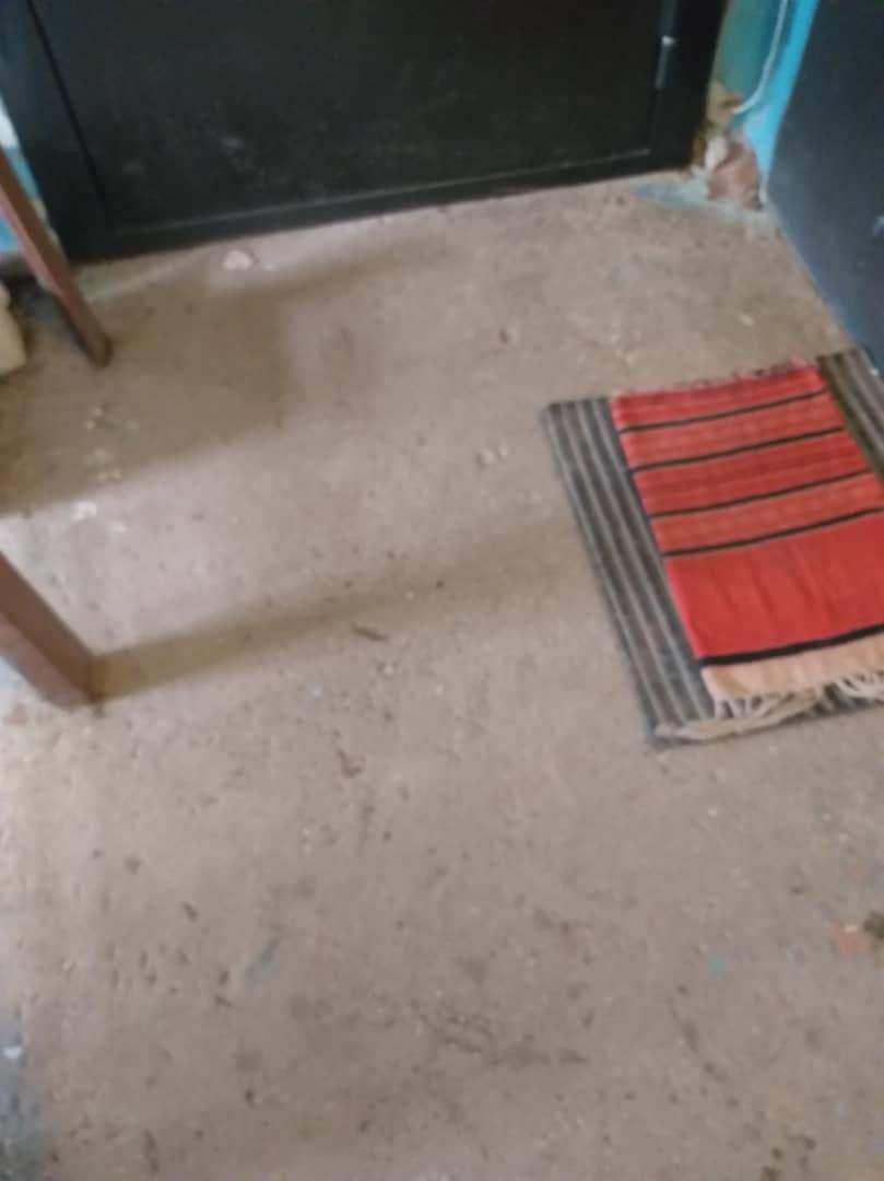 ПЖРТ tweet media