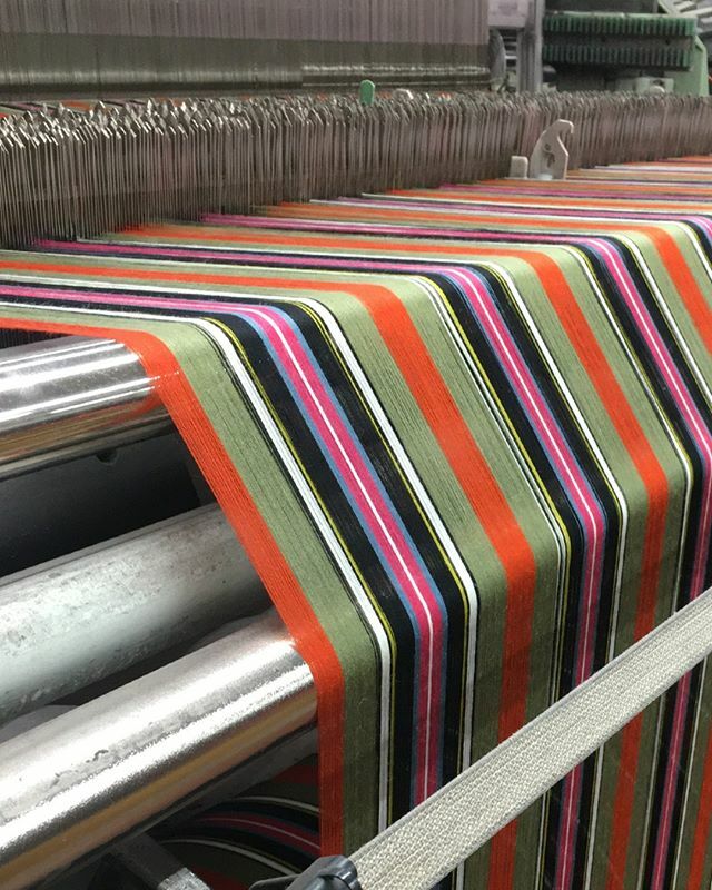 lochcarronscot's tweet photo. The vibrant warp of the Bruce of Kinnaird Ancient Tartan at the back of the loom. #LochcarronofScotland #MadeinScotland #BruceofKinnairdTartan #BruceofKinnairdAncientTartan #Tartan #Warping #Weaving #Tartan #Textiles #Checkitswool #ExploreSelkirk #Atthem… https://t.co/oFkRLyOqwv https://t.co/TOV7onAs3T