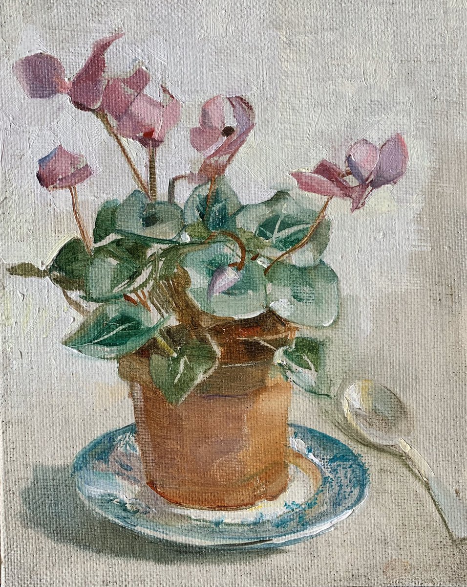 Salt Studio tweet media