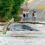 オーストラリア、豪雨のため長期間続いていた森林火災が鎮火される!