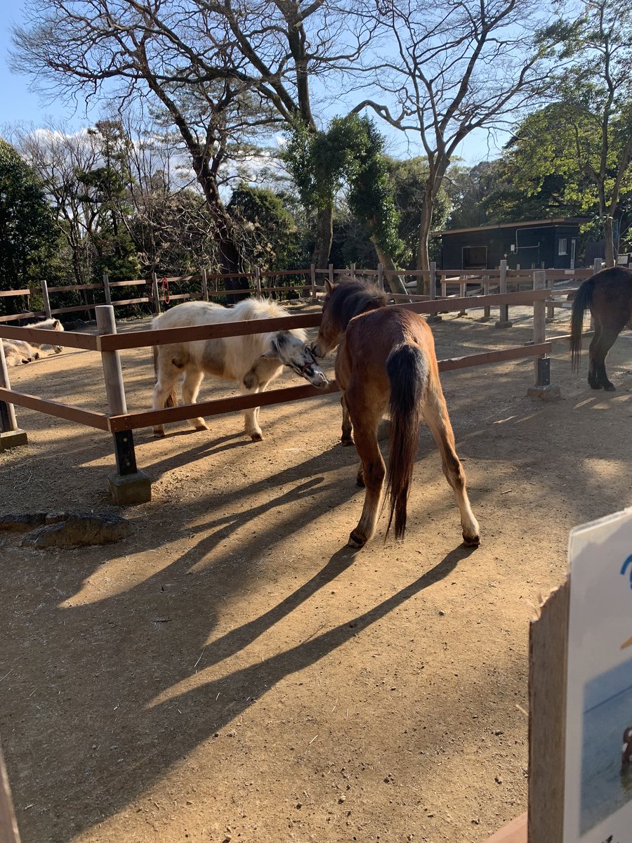 楽寿園の中にミニ動物園があったのよ 