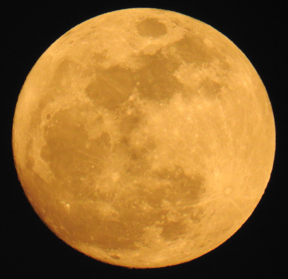 WhooshSpace's tweet photo. Photos I took back on Jan 1st 2018 from the middle of the Persian Gulf between Qatar and Iran. Taken using #Nikon CoolPix P900. #QatarIsCalling #Moon #astrophotography Really fancy buying a decent telescope and getting into this deeper.... https://t.co/AjkQ0Np75x