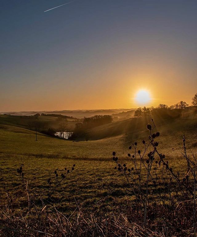 Igers_auch's tweet photo. vous présente son coup de 💛 du jour « au lever du soleil »
.
📸 : @arnaud_moulin31 merci pour cette photo !
.
#️⃣ Partagez vous aussi vos #photos du #gers avec #igersauch et #igersgers
.
✨ Sélectionnée par @alexandra.blc
.
✌🏼Team @igersauch : @laure32… https://t.co/FjqYTtpg8x https://t.co/wCIkKT7Rhr