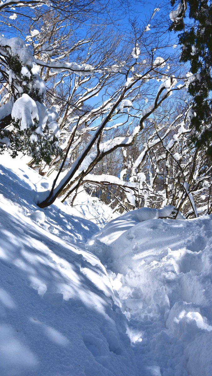 琵琶湖 バレイ 積雪