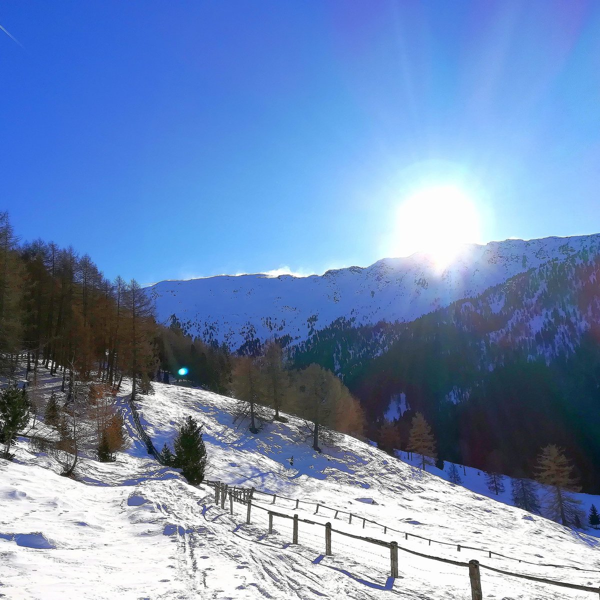 Im Winter wird jedes Lächeln zum hellsten Licht.
