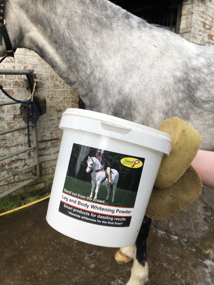 Lucie_Hodges86's tweet image. I love how @Smart_Grooming Leg and Body Whitening Powder can transform Ice’s dirty socks! 💫 #smartgrooming #turnout #TuesdayTips