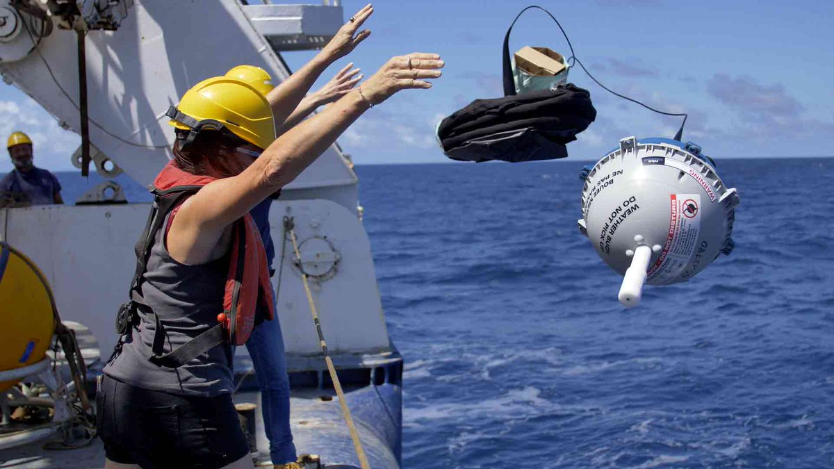 tongaproject's tweet photo. 👩‍🔬🌊🧪Today, and all the other days, let's celebrate the @tongaproject #WomenInScience !
@INSU_CNRS @ird_fr @IMEV_mer @MIOceanologie https://t.co/c4xBkhC4Wm