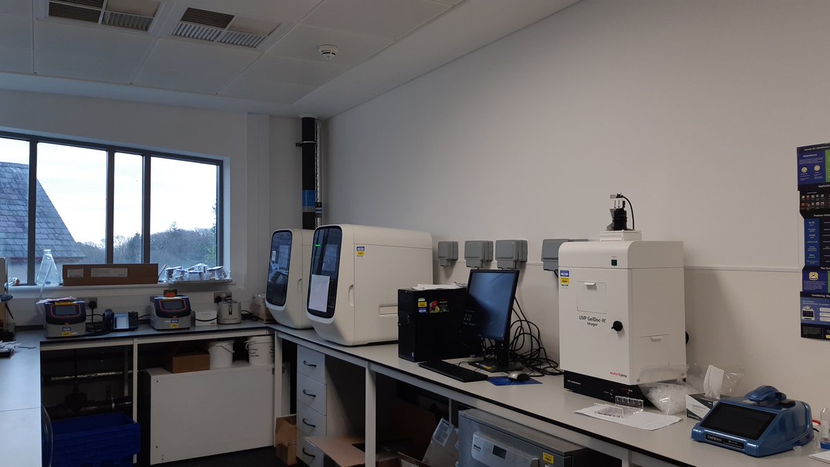 KataFarkas211's tweet photo. Our amplification sanctuary at @shellfishcentre is finally up and running with two PCRs, two #quantstudio real-time PCRs, gel doc and @DeNovix DNA quantification. Come and visit us at @sos_bangor_uni when you have a minute. https://t.co/OvR6D7p7vV